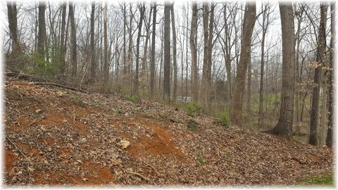 7702 Chester Rd, Fairview, TN 37062 photo 22