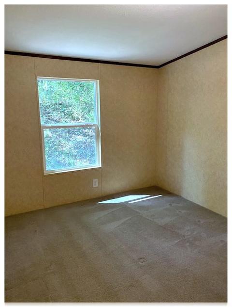 7702 Chester Rd, Fairview, TN 37062 photo 15