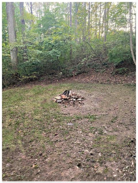 7702 Chester Rd, Fairview, TN 37062 photo 20