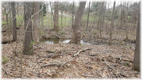7702 Chester Rd, Fairview, TN 37062 photo 19