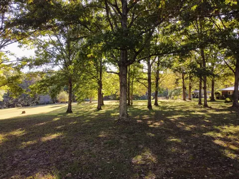2705 Skyview Dr, Centerville, TN 37033 photo 49