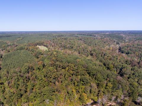 265 Turkey Branch Rd, Goodspring, TN 38460 photo 9