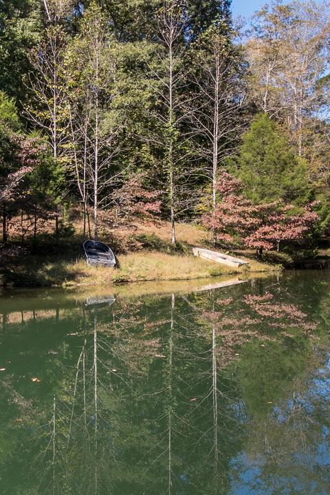 265 Turkey Branch Rd, Goodspring, TN 38460 photo 23