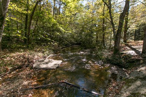 265 Turkey Branch Rd, Goodspring, TN 38460 photo 7