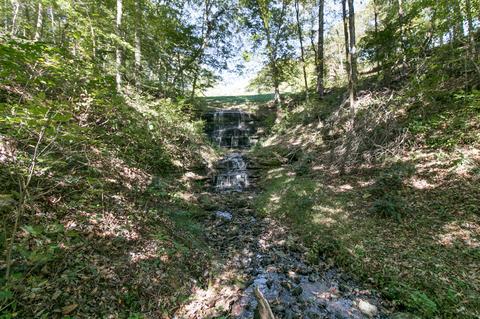 265 Turkey Branch Rd, Goodspring, TN 38460 photo 5
