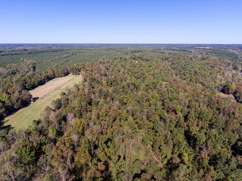265 Turkey Branch Rd, Goodspring, TN 38460 photo 11
