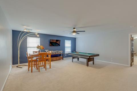 274 Canvasback Ct, Spring Hill, TN 37174 photo 38