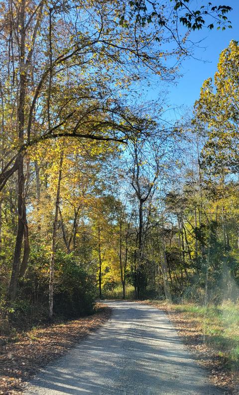 113 Buttrey Rd, Dickson, TN 37055 photo 3