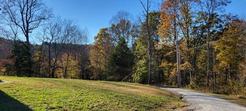 113 Buttrey Rd, Dickson, TN 37055 photo 24