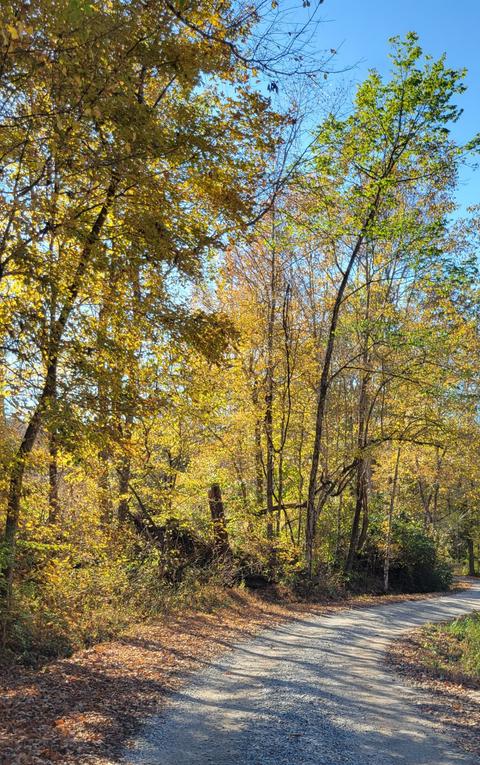 113 Buttrey Rd, Dickson, TN 37055 photo 4