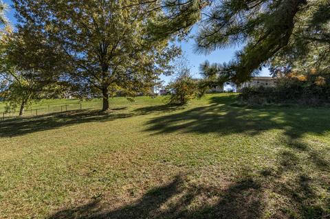 919 Poplar Ave, Springfield, TN 37172 photo 24