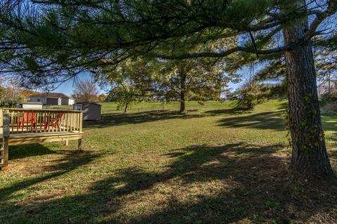 919 Poplar Ave, Springfield, TN 37172 photo 23