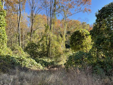 200 Moss Rd, Pulaski, TN 38478 photo 1