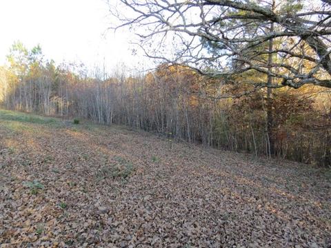 273 Miller Ln, Goodspring, TN 38460 photo 34