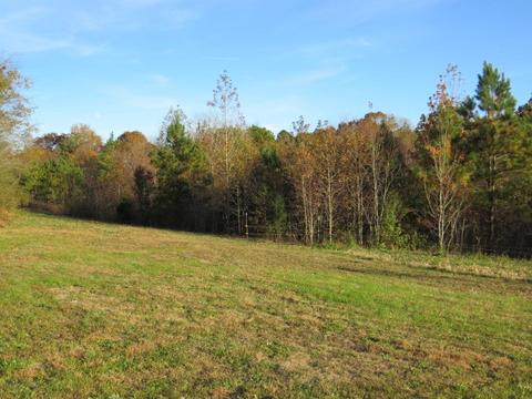 273 Miller Ln, Goodspring, TN 38460 photo 26