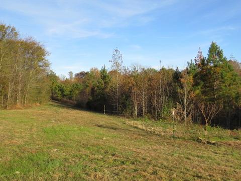 273 Miller Ln, Goodspring, TN 38460 photo 27