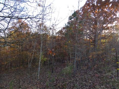 273 Miller Ln, Goodspring, TN 38460 photo 32