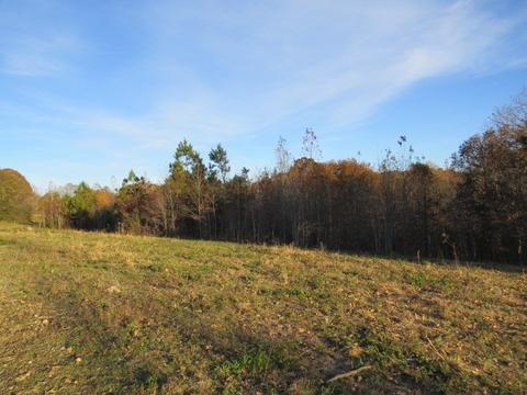 273 Miller Ln, Goodspring, TN 38460 photo 38