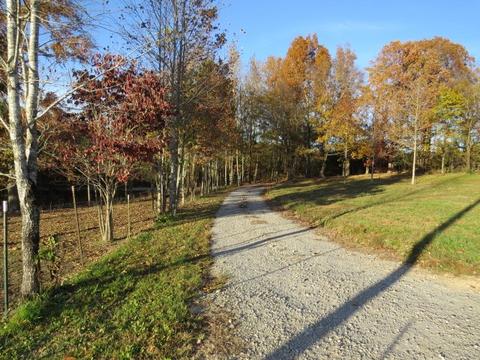 273 Miller Ln, Goodspring, TN 38460 photo 4