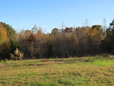 273 Miller Ln, Goodspring, TN 38460 photo 31