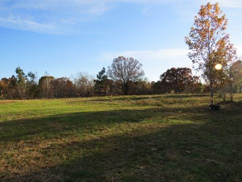 273 Miller Ln, Goodspring, TN 38460 photo 29
