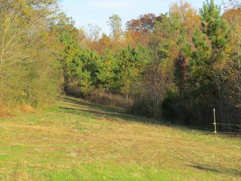 273 Miller Ln, Goodspring, TN 38460 photo 28