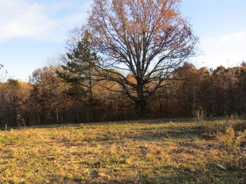 273 Miller Ln, Goodspring, TN 38460 photo 37