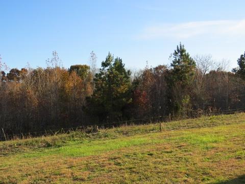 273 Miller Ln, Goodspring, TN 38460 photo 39