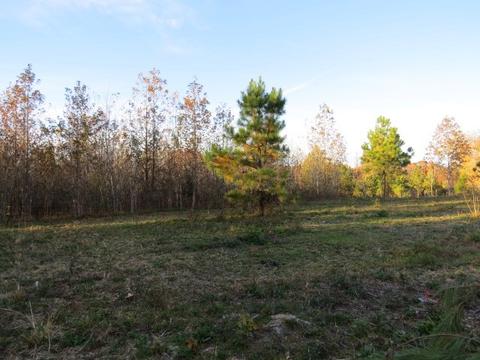 273 Miller Ln, Goodspring, TN 38460 photo 35