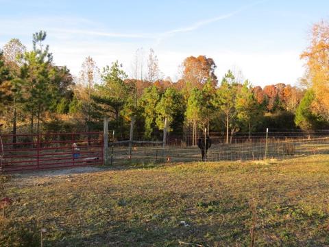273 Miller Ln, Goodspring, TN 38460 photo 36