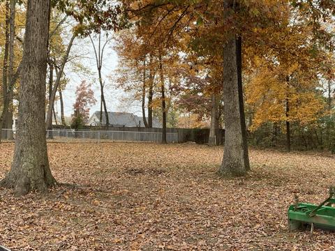 6466 Highway 25 E, Springfield, TN 37172 photo 40