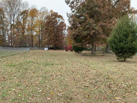 6466 Highway 25 E, Springfield, TN 37172 photo 33