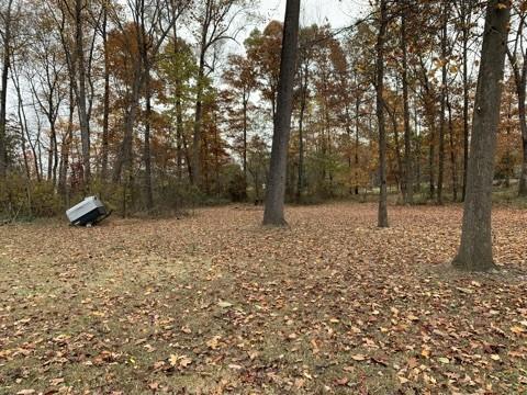 6466 Highway 25 E, Springfield, TN 37172 photo 34