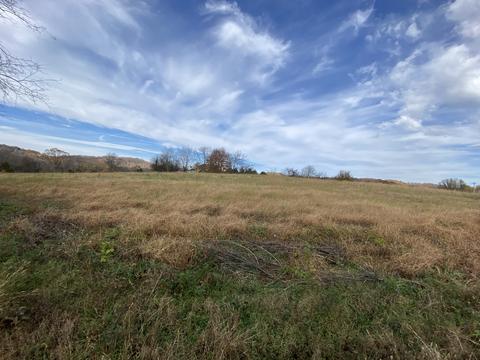 345 E Harris Ln, Bethpage, TN 37022 photo 3