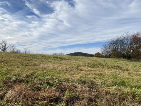 345 E Harris Ln, Bethpage, TN 37022 photo 2