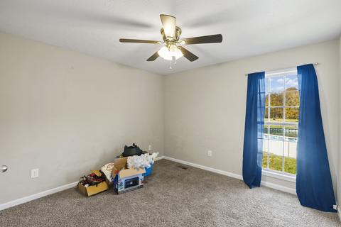 3956 Baggett Rd, Springfield, TN 37172 photo 29