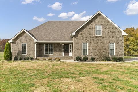 3956 Baggett Rd, Springfield, TN 37172 photo 1