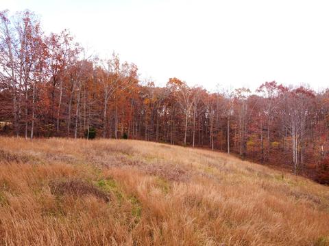 5061 Spears Rd, Centerville, TN 37033 photo 17