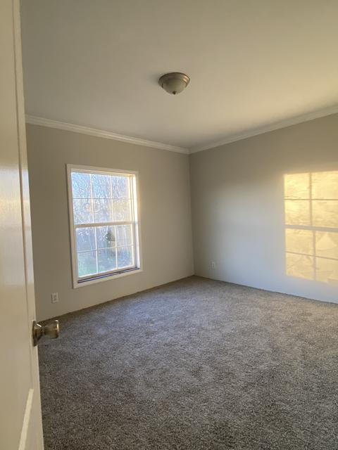 239 Dotson Rd, Lafayette, TN 37083 photo 9