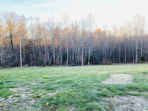 239 Dotson Rd, Lafayette, TN 37083 photo 3