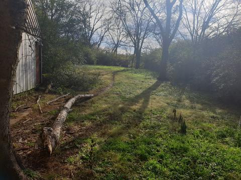 338 Maple St, Madison, TN 37115 photo 13