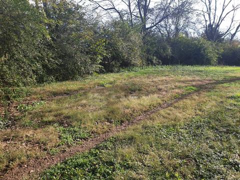 338 Maple St, Madison, TN 37115 photo 12