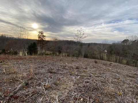 1396 Rogues Fork Rd, Bethpage, TN 37022 photo 6