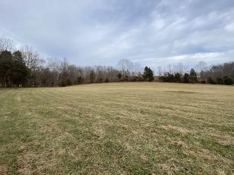 1396 Rogues Fork Rd, Bethpage, TN 37022 photo 4