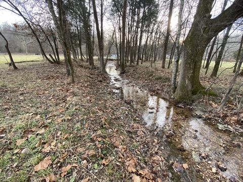 1396 Rogues Fork Rd, Bethpage, TN 37022 photo 3