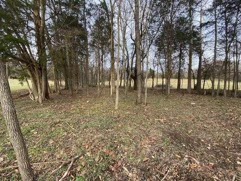 1396 Rogues Fork Rd, Bethpage, TN 37022 photo 7