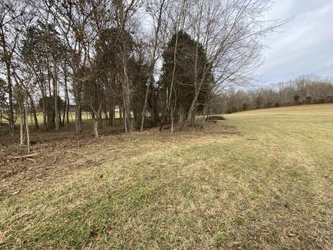 1396 Rogues Fork Rd, Bethpage, TN 37022 photo 2