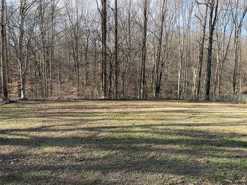 129 Robinson Dr, Dickson, TN 37055 photo 6