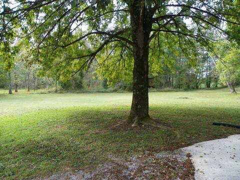 4872 Will Thompson Rd, Walling, TN 38587 photo 20