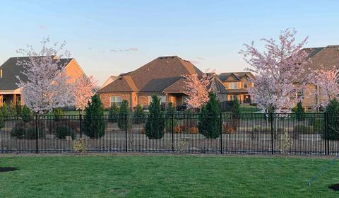3944 Runyan Cv, Murfreesboro, TN 37127 photo 26